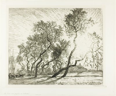 Ferme avec peupliers hollandais - Louis Auguste Lepère