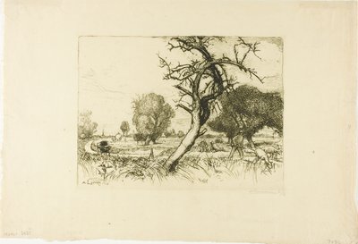 Le pommier mort - Louis Auguste Lepère