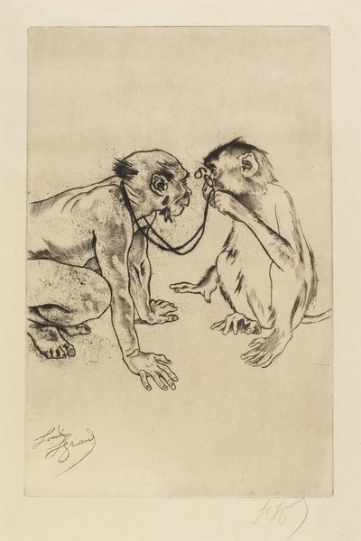Anatomie comparée - Louis Auguste Mathieu Legrand
