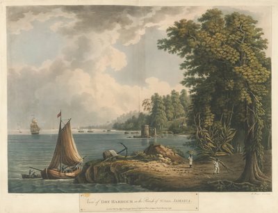 Vue de Dry Harbour dans la paroisse de St Ann, tirée de Six Vues de l