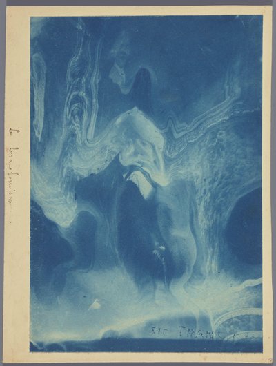 Le transformisme / Sic transit - Louis Ducos du Hauron (attributed to)