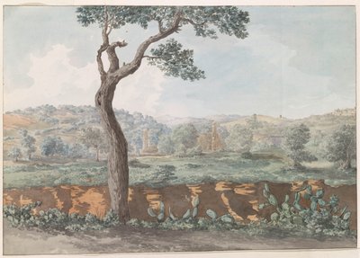 Ruine du temple de Castor et Pollux dans les murs de l