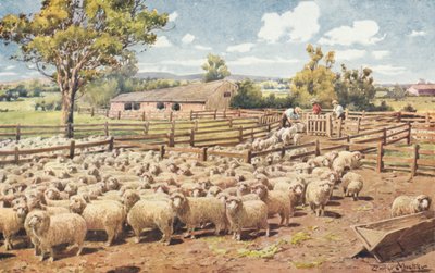 Scène dans une station de moutons australienne - Louis Fairfax Muckley