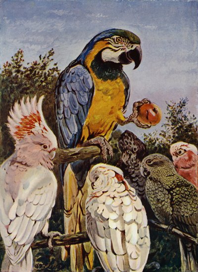 Qui a mordu ma pomme ? - Louis Fairfax Muckley