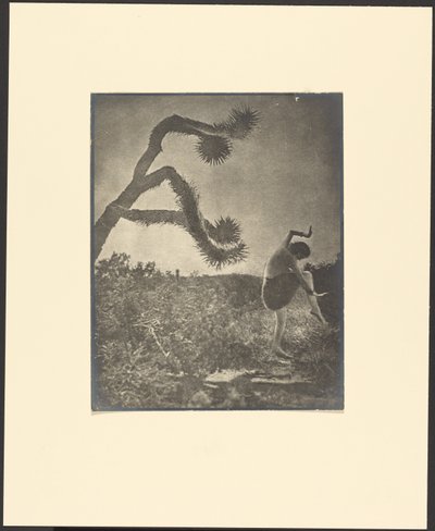 Danse apache - Louis Fleckenstein