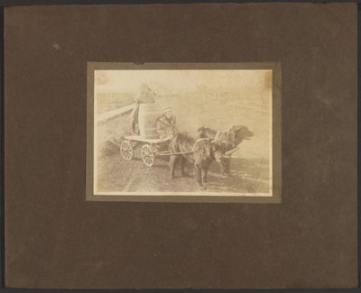 [Enfants sur une charrette tirée par des chiens] - Louis Fleckenstein