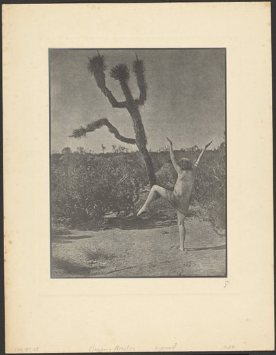 Maître de danse - Louis Fleckenstein