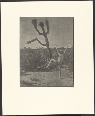 Maître de danse - Louis Fleckenstein