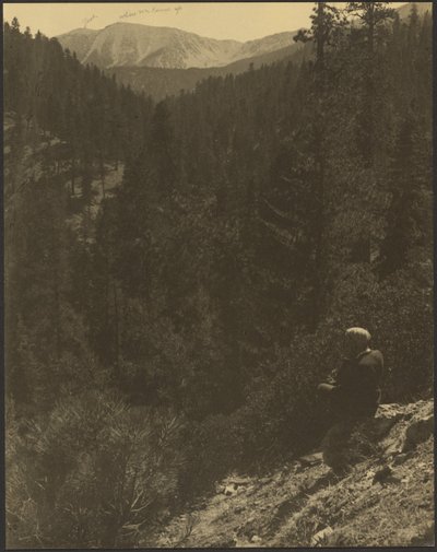 Vue lointaine du mont Gorgonio - Louis Fleckenstein