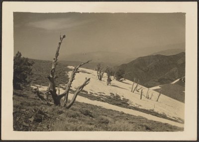 [Paysage] - Louis Fleckenstein