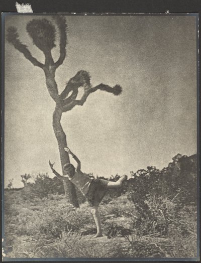 Souple et gracieux - Dancing Joshua - Louis Fleckenstein