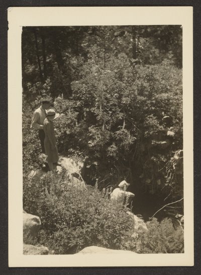 [Printemps à Fern Valley] - Louis Fleckenstein