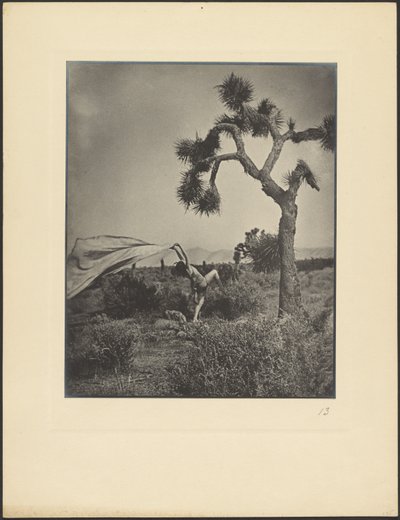 Le vent du désert - Louis Fleckenstein