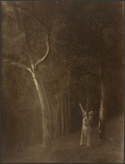 [Femme priant au milieu des arbres] - Louis Fleckenstein