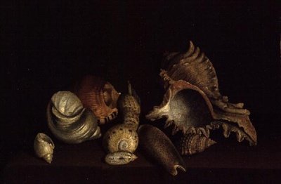 Nature morte de coquillages sur un rebord - Louis Hubner