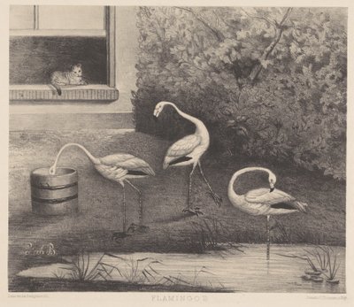 Trois flamants roses et un chat - Louise Marie Françoise van der Beek