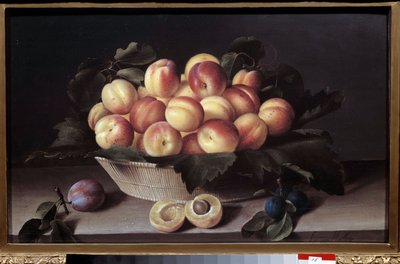 Nature morte avec des abricots. Panier d