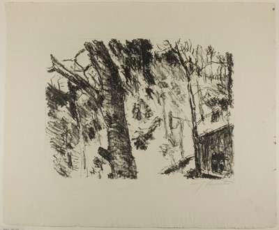 Bois de hêtres, du Début du printemps dans les montagnes - Lovis Corinth