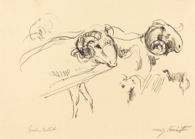 Béliers - Lovis Corinth
