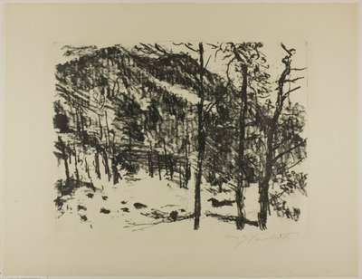 La vallée, du Printemps précoce dans les montagnes - Lovis Corinth