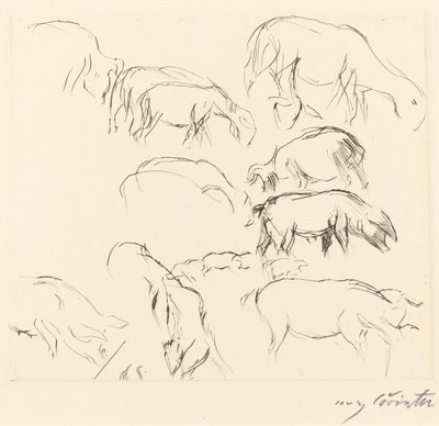 Études Animales, 1917 - Lovis Corinth