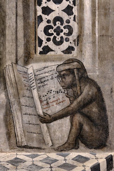 Le singe avec des lunettes lisant un livre - Luca (workshop of) Signorelli