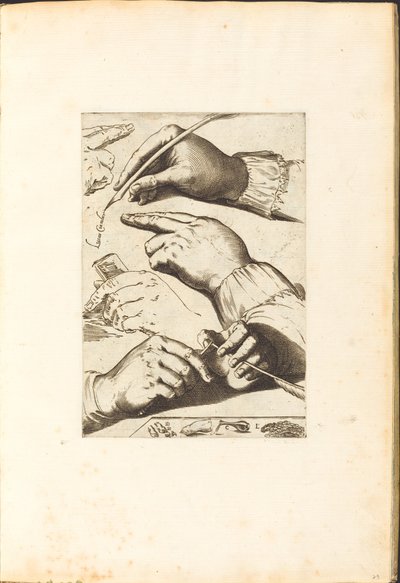 Impression du Livre de Dessin - Luca Ciamberlano