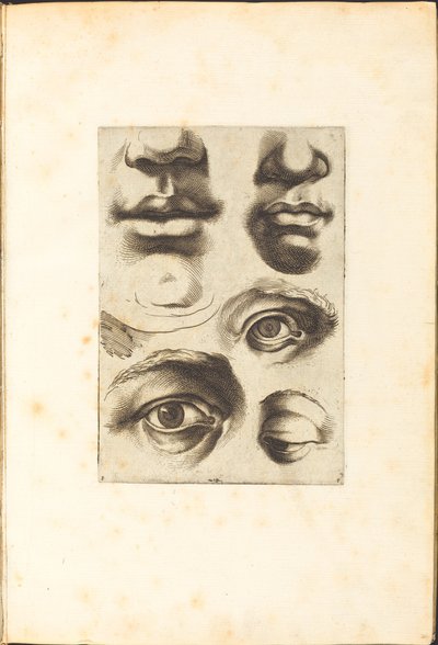 Impression du livre de dessin - Luca Ciamberlano