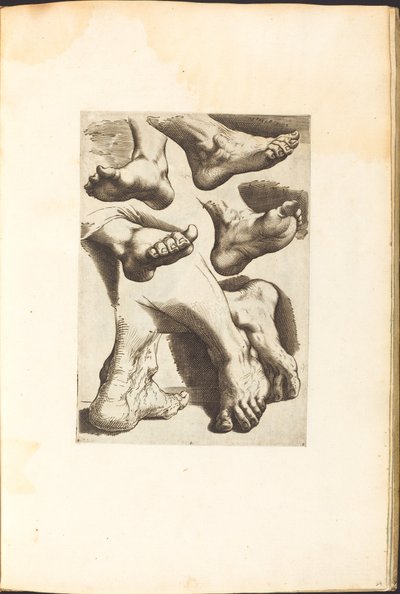Impression du livre de dessin - Luca Ciamberlano