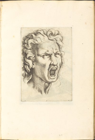 Impression du livre de dessin - Luca Ciamberlano