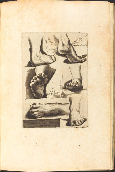 Impression du Livre de Dessin - Luca Ciamberlano