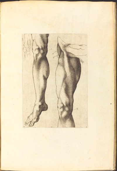 Impression du livre de dessin - Luca Ciamberlano