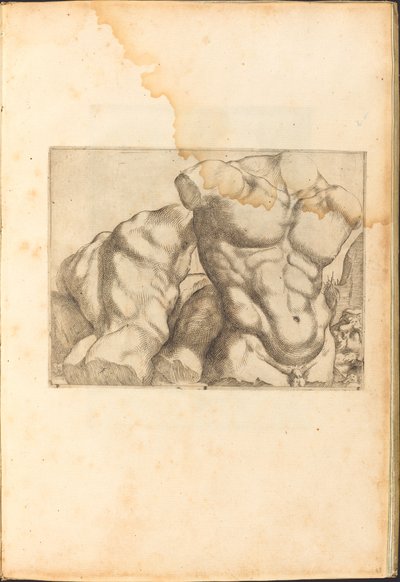 Impression du livre de dessins - Luca Ciamberlano