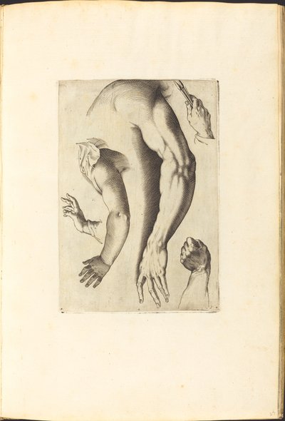 Impression du livre de dessin - Luca Ciamberlano