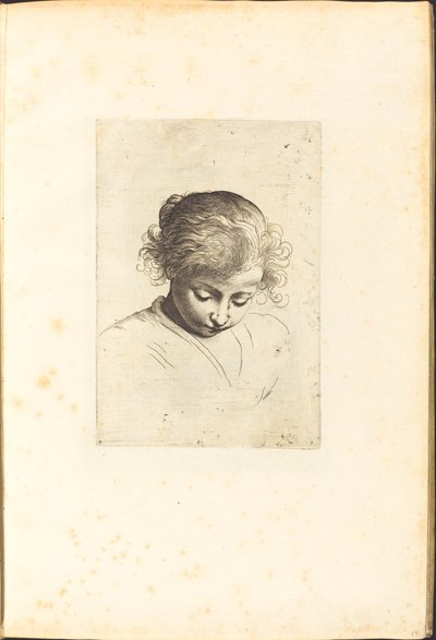Impression du livre de dessin - Luca Ciamberlano