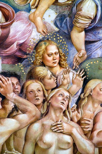Élus, du cycle de fresques du Jugement dernier - Luca Signorelli