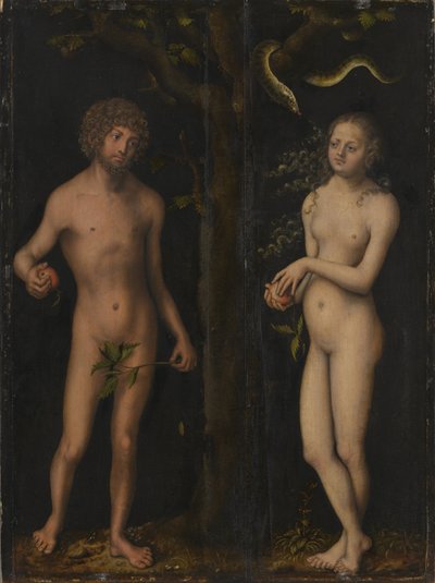 Allemand : Adam und Eva Adam et Eve - Lucas Cranach the Elder