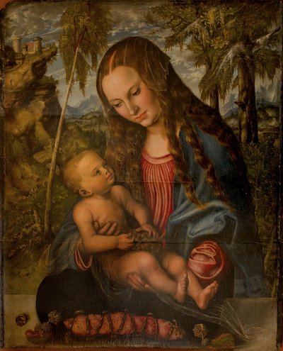 Madone sous le sapin - Lucas Cranach the Elder