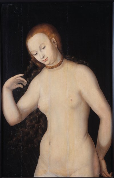 Vénus - Lucas Cranach the Elder