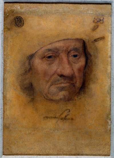 Portrait du Docteur Petrus von Clapis - Lucas the Elder Cranach