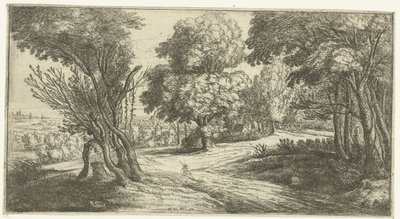 Paysage forestier - Lucas van Uden
