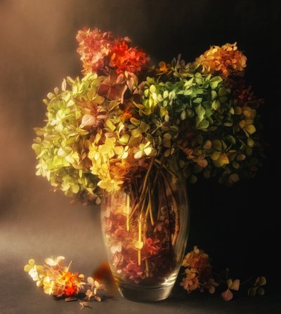  - Ludmila Shumilova