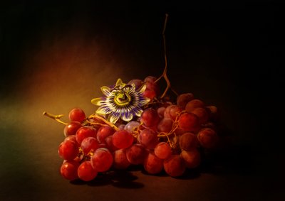  - Ludmila Shumilova