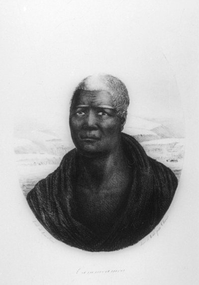 Kamehameha I, Hawaï, 1816 - Ludwig Choris