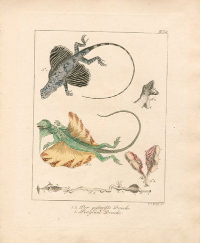  - Ludwig Christoph Tyroff
