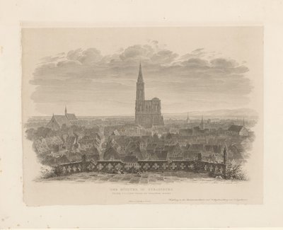 Vue de la cathédrale de Strasbourg - Ludwig Friedrich Schnell