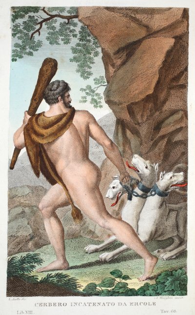 Hercule et Cerbère, Livre VII, illustration des Métamorphoses d