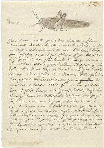 Étude d