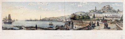 Vue panoramique de la ville de Gênes (lithographie) - Luigi Garibbo