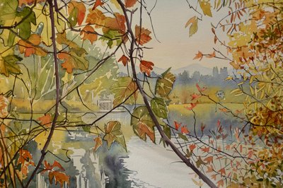 Feuilles d